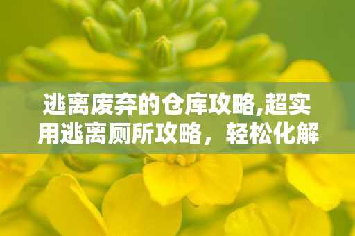 逃离废弃的仓库攻略,超实用逃离厕所攻略,轻松化解各类隔间突发窘境 逃离废弃的仓库攻略,超实用逃离厕所攻略,轻松化解各类隔间突发窘境