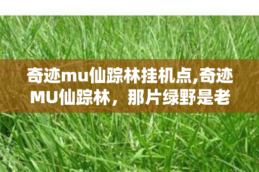奇迹mu仙踪林挂机点,奇迹MU仙踪林,那片绿野是老玩家刻进青春的冒险起点 奇迹mu仙踪林挂机点,奇迹MU仙踪林,那片绿野是老玩家刻进青春的冒险起点