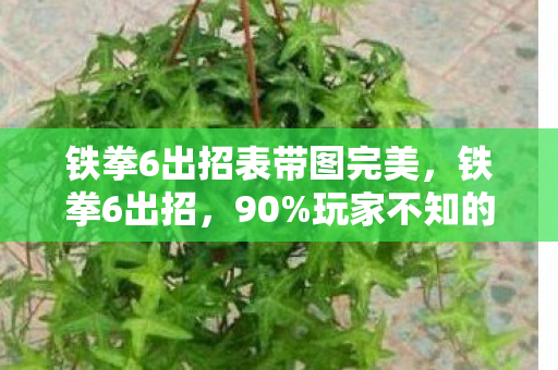 铁拳6出招表带图完美,铁拳6出招,90%玩家不知的暗伤比例,你的热血是否正被悄然透支? 铁拳6出招表带图完美,铁拳6出招,90%玩家不知的暗伤比例,你的热血是否正被悄然透支?