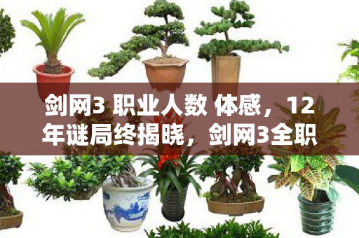 剑网3 职业人数 体感,12年谜局终揭晓,剑网3全职业兴衰录,泪目见证江湖变迁 剑网3 职业人数 体感,12年谜局终揭晓,剑网3全职业兴衰录,泪目见证江湖变迁