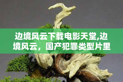 边境风云下载电影天堂,边境风云,国产犯罪类型片里的独特诗意样本 边境风云下载电影天堂,边境风云,国产犯罪类型片里的独特诗意样本