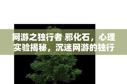 网游之独行者 邪化石，心理实验揭秘，沉迷网游的独行者，细思极恐的自我麻醉