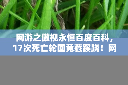 网游之傲视永恒百度百科，17次死亡轮回竟藏蹊跷！网游之傲视永恒背后真相让人后背发凉