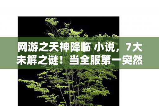网游之天神降临 小说，7大未解之谜！当全服第一突然消失，天神降临的真相竟是……