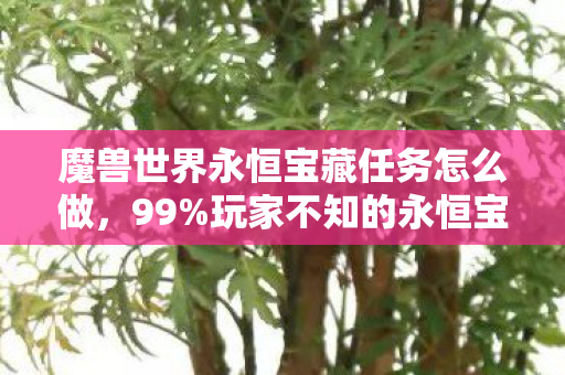 魔兽世界永恒宝藏任务怎么做,99%玩家不知的永恒宝藏!0.1%概率背后,藏着多少人的青春执念? 魔兽世界永恒宝藏任务怎么做,99%玩家不知的永恒宝藏!0.1%概率背后,藏着多少人的青春执念?