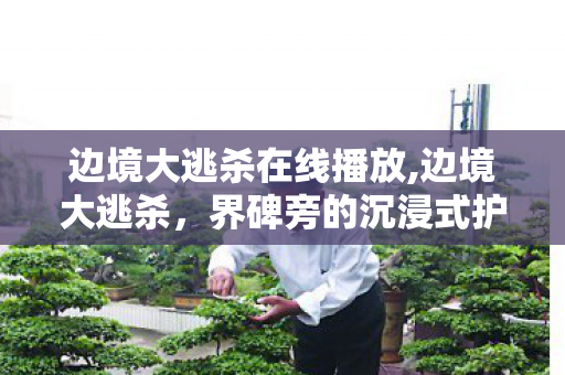 边境大逃杀在线播放,边境大逃杀，界碑旁的沉浸式护边生存试炼