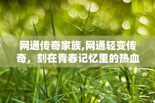 网通传奇家族,网通轻变传奇,刻在青春记忆里的热血江湖 网通传奇家族,网通轻变传奇,刻在青春记忆里的热血江湖