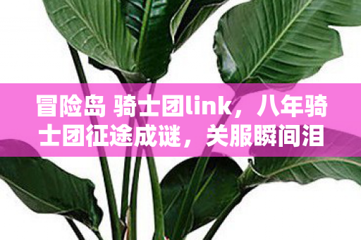 冒险岛 骑士团link,八年骑士团征途成谜,关服瞬间泪目,我究竟弄丢了什么? 冒险岛 骑士团link,八年骑士团征途成谜,关服瞬间泪目,我究竟弄丢了什么?