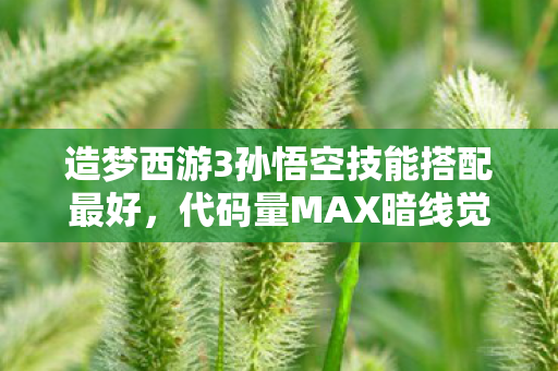 造梦西游3孙悟空技能搭配最好,代码量MAX暗线觉醒!孙悟空技能链让我头皮发麻的赛博人生 造梦西游3孙悟空技能搭配最好,代码量MAX暗线觉醒!孙悟空技能链让我头皮发麻的赛博人生