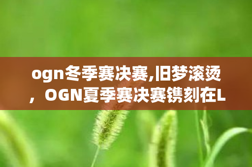ogn冬季赛决赛,旧梦滚烫，OGN夏季赛决赛镌刻在LOL青春里的热血坐标