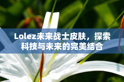 探索科技与未来的完美结合图片