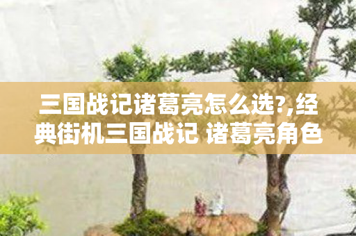 三国战记诸葛亮怎么选?,经典街机三国战记 诸葛亮角色选择实用指南 三国战记诸葛亮怎么选?,经典街机三国战记 诸葛亮角色选择实用指南