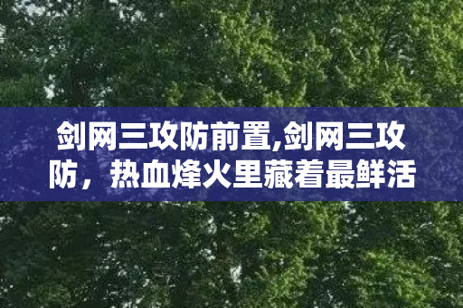剑网三攻防前置,剑网三攻防,热血烽火里藏着最鲜活的江湖羁绊 剑网三攻防前置,剑网三攻防,热血烽火里藏着最鲜活的江湖羁绊