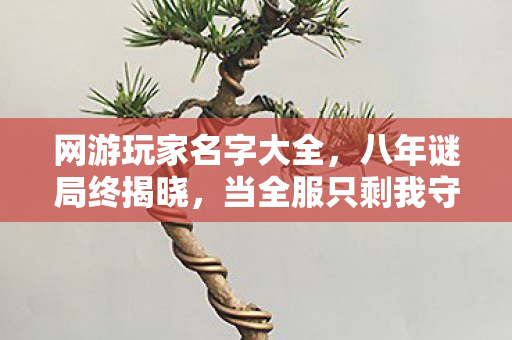网游玩家名字大全,八年谜局终揭晓,当全服只剩我守着空城,泪目谢幕 网游玩家名字大全,八年谜局终揭晓,当全服只剩我守着空城,泪目谢幕