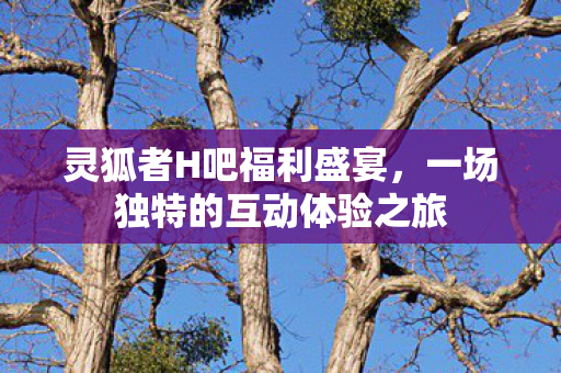 一场独特的互动体验之旅图片