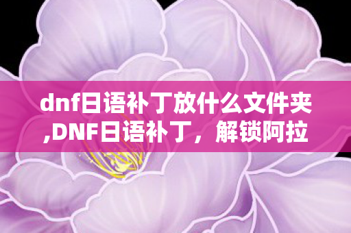 dnf日语补丁放什么文件夹,DNF日语补丁，解锁阿拉德大陆的别样视听新体验