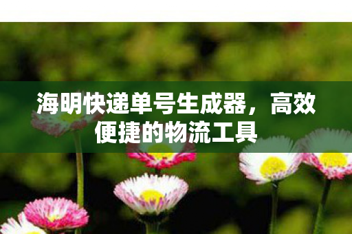海明快递单号生成器图片