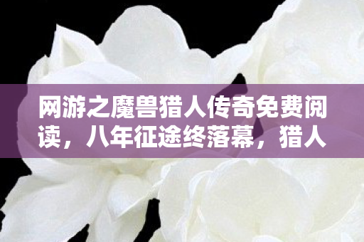 网游之魔兽猎人传奇免费阅读，八年征途终落幕，猎人谜影何处寻？泪目告别魔兽梦！