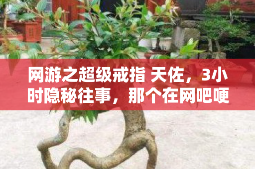 网游之超级戒指 天佐，3小时隐秘往事，那个在网吧哽咽着删号的少年，如今还好吗？