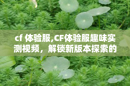cf 体验服,CF体验服趣味实测视频，解锁新版本探索的全新乐趣