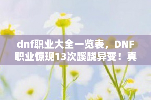 dnf职业大全一览表，DNF职业惊现13次蹊跷异变！真相揭晓后背发凉，人性深渊触目惊心