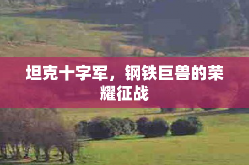 钢铁巨兽的荣耀征战图片