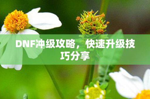 快速升级技巧分享图片