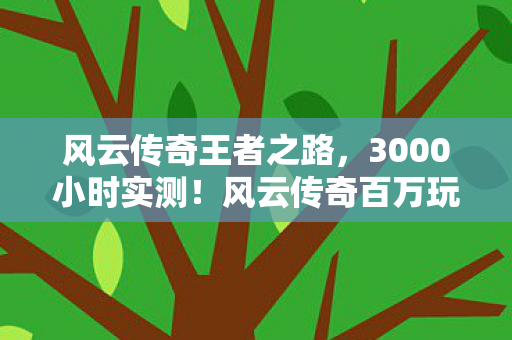 风云传奇王者之路,3000小时实测!风云传奇百万玩家身份成谜,背后竟藏着这些心酸 风云传奇王者之路,3000小时实测!风云传奇百万玩家身份成谜,背后竟藏着这些心酸