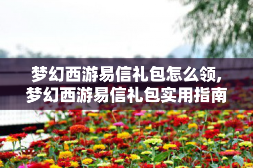 梦幻西游易信礼包怎么领,梦幻西游易信礼包实用指南,解锁专属游戏福利的贴心攻略 梦幻西游易信礼包怎么领,梦幻西游易信礼包实用指南,解锁专属游戏福利的贴心攻略