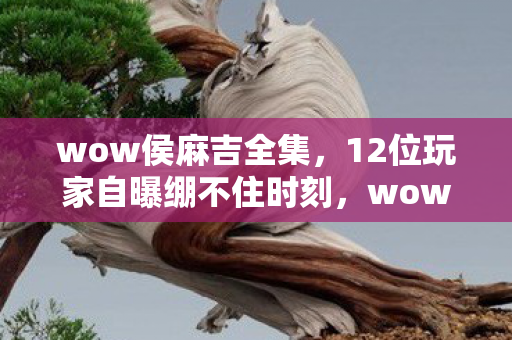 wow侯麻吉全集,12位玩家自曝绷不住时刻,wow侯麻吉背后藏着多少网吧眼泪? wow侯麻吉全集,12位玩家自曝绷不住时刻,wow侯麻吉背后藏着多少网吧眼泪?