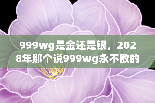 999wg是金还是银,2028年那个说999wg永不散的人,让我鼻子一酸后消失人海 999wg是金还是银,2028年那个说999wg永不散的人,让我鼻子一酸后消失人海
