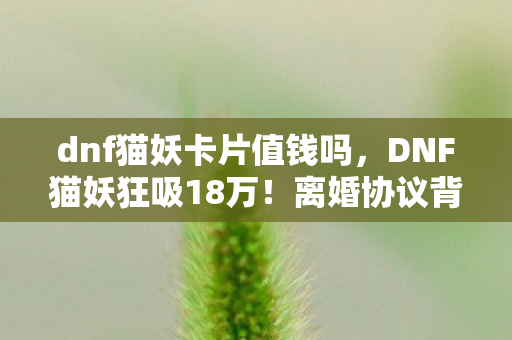 dnf猫妖卡片值钱吗,DNF猫妖狂吸18万!离婚协议背后,我的疯狂充值账本吓你一跳! dnf猫妖卡片值钱吗,DNF猫妖狂吸18万!离婚协议背后,我的疯狂充值账本吓你一跳!