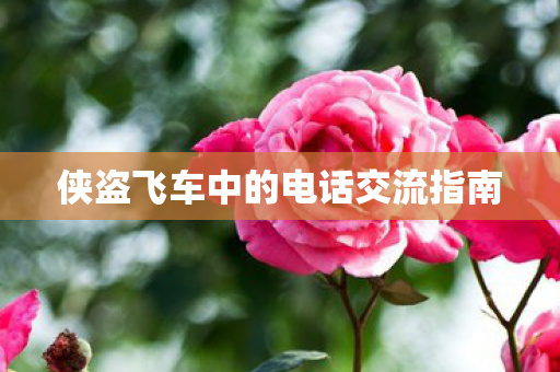 侠盗飞车中的电话交流指南图片