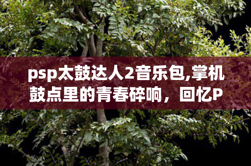 psp太鼓达人2音乐包,掌机鼓点里的青春碎响，回忆PSP太鼓达人2的纯粹快乐