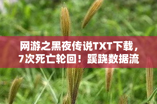 网游之黑夜传说TXT下载,7次死亡轮回!蹊跷数据流里,我的后背发凉真相 网游之黑夜传说TXT下载,7次死亡轮回!蹊跷数据流里,我的后背发凉真相