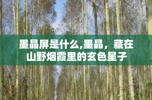 墨晶屏是什么,墨晶,藏在山野烟霞里的玄色星子 墨晶屏是什么,墨晶,藏在山野烟霞里的玄色星子
