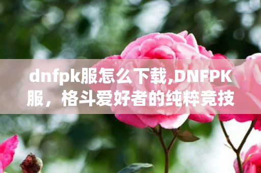 dnfpk服怎么下载,DNFPK服,格斗爱好者的纯粹竞技自留地 dnfpk服怎么下载,DNFPK服,格斗爱好者的纯粹竞技自留地