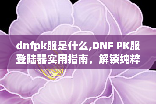 dnfpk服是什么,DNF PK服登陆器实用指南,解锁纯粹横版格斗乐趣 dnfpk服是什么,DNF PK服登陆器实用指南,解锁纯粹横版格斗乐趣