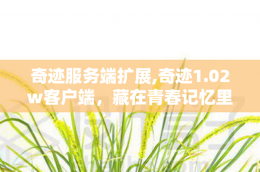 奇迹服务端扩展,奇迹1.02w客户端,藏在青春记忆里的魔幻旧时光 奇迹服务端扩展,奇迹1.02w客户端,藏在青春记忆里的魔幻旧时光
