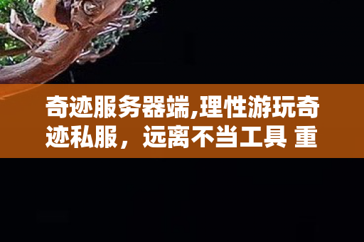 奇迹服务器端,理性游玩奇迹私服,远离不当工具 重拾复古端游纯粹冒险乐趣 奇迹服务器端,理性游玩奇迹私服,远离不当工具 重拾复古端游纯粹冒险乐趣