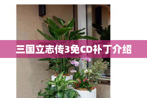 三国立志传3免CD补丁介绍图片