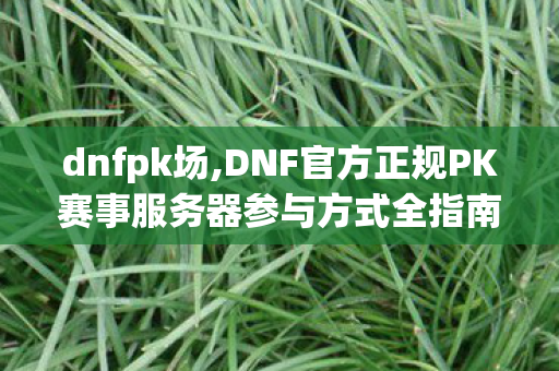 dnfpk场,DNF官方正规PK赛事服务器参与方式全指南 dnfpk场,DNF官方正规PK赛事服务器参与方式全指南