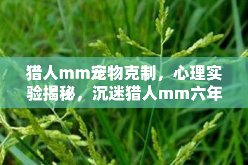 猎人mm宠物克制,心理实验揭秘,沉迷猎人mm六年,细思极恐的自我麻醉之旅 猎人mm宠物克制,心理实验揭秘,沉迷猎人mm六年,细思极恐的自我麻醉之旅