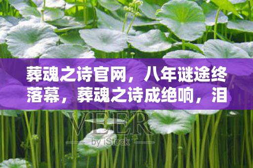 葬魂之诗官网,八年谜途终落幕,葬魂之诗成绝响,泪目送别旧时光 葬魂之诗官网,八年谜途终落幕,葬魂之诗成绝响,泪目送别旧时光