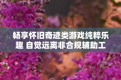 畅享怀旧奇迹类游戏纯粹乐趣 自觉远离非合规辅助工具 畅享怀旧奇迹类游戏纯粹乐趣 自觉远离非合规辅助工具