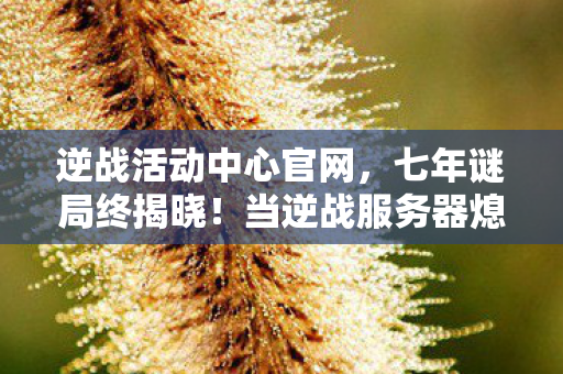 逆战活动中心官网,七年谜局终揭晓!当逆战服务器熄灭那刻,我泪目了 逆战活动中心官网,七年谜局终揭晓!当逆战服务器熄灭那刻,我泪目了