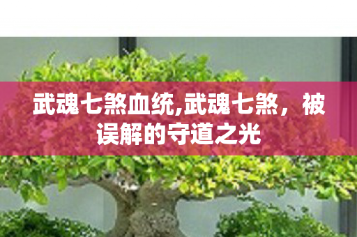 武魂七煞血统,武魂七煞,被误解的守道之光 武魂七煞血统,武魂七煞,被误解的守道之光