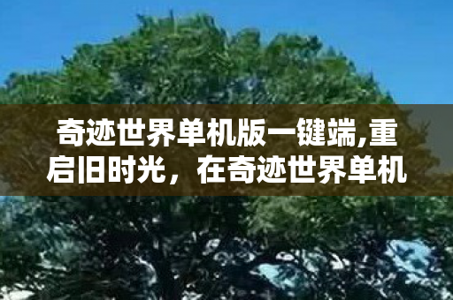 奇迹世界单机版一键端,重启旧时光,在奇迹世界单机版里重走那段魔幻冒险路 奇迹世界单机版一键端,重启旧时光,在奇迹世界单机版里重走那段魔幻冒险路