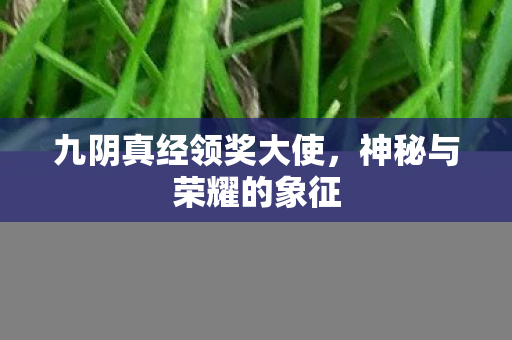 九阴真经领奖大使图片
