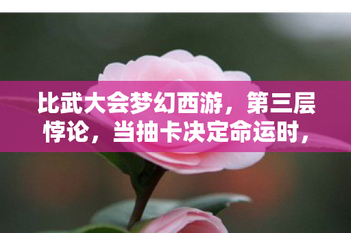 比武大会梦幻西游,第三层悖论,当抽卡决定命运时,谁在审判谁的存在? 比武大会梦幻西游,第三层悖论,当抽卡决定命运时,谁在审判谁的存在?